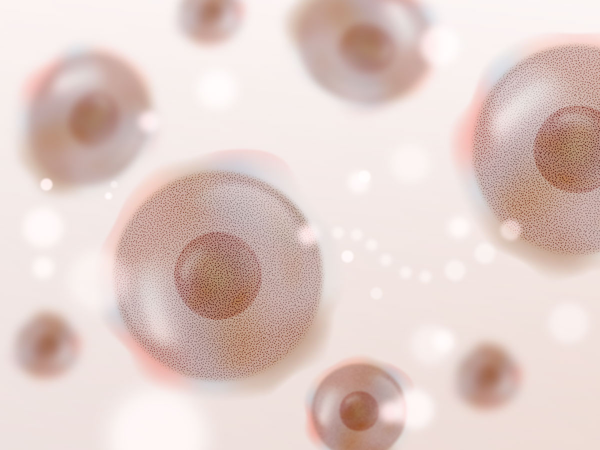 feat0<br />
<b>Warning</b>:  Undefined variable $i in <b>/home/xs171376/reunet.jp/public_html/trial21/wp/wp-content/themes/reutrial/parts/loop_features.php</b> on line <b>20</b><br />
<br />
<b>Warning</b>:  Undefined variable $count in <b>/home/xs171376/reunet.jp/public_html/trial21/wp/wp-content/themes/reutrial/parts/loop_features.php</b> on line <b>20</b><br />
2